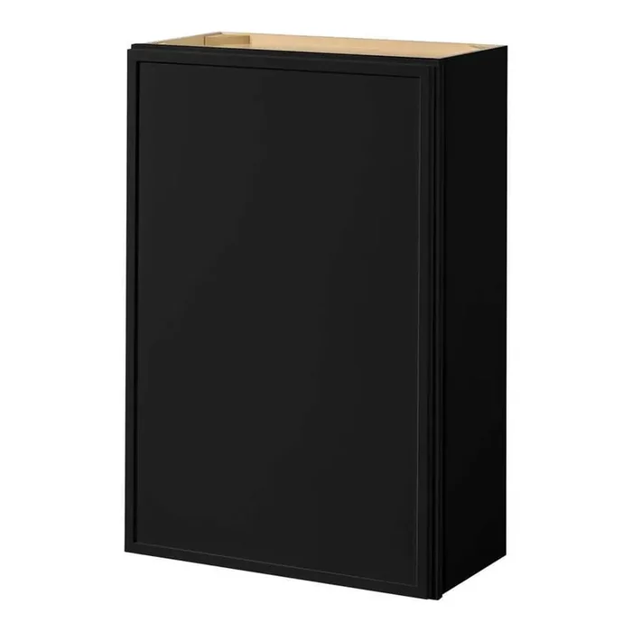 Leyton 24 in. W x 12 in. D x 36 in. H Ready to Assemble Plywood Slim Shaker Wall Kitchen Cabinet in Raven Black