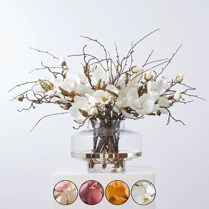Magnolia Blooms & Branches In Large Modern Saucer Style Vase Everyday Spring Water Illusion Arrangement – Available In 4 Color Options
