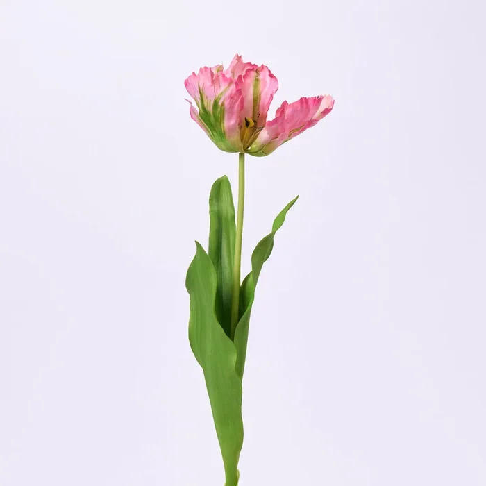 Mauve Green Parrot Tulip Bloom Single Long Stem Faux Floral Spray – 27″