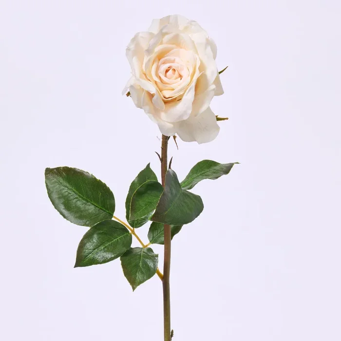 Real Touch Beige Open Dutchess Rose Bloom Single Short Stem Faux Floral Spray – 20″
