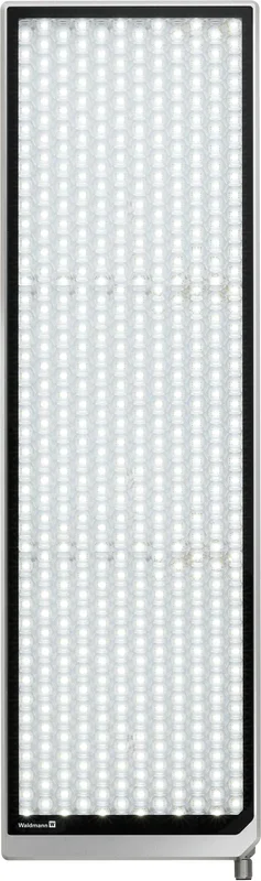 Waldmann Acuria.Perfect Apa Surface Mounted Luminaire 24V DC 42W 5000K 22.2 Inch (114316000-00806638)