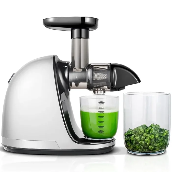 White Cold Press Juicer Machine, Slow Masticating Juicer with Reverse Function and Brush